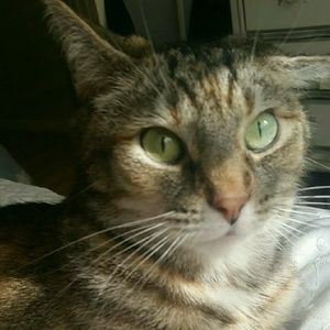 Meet your Posher, Shaylen